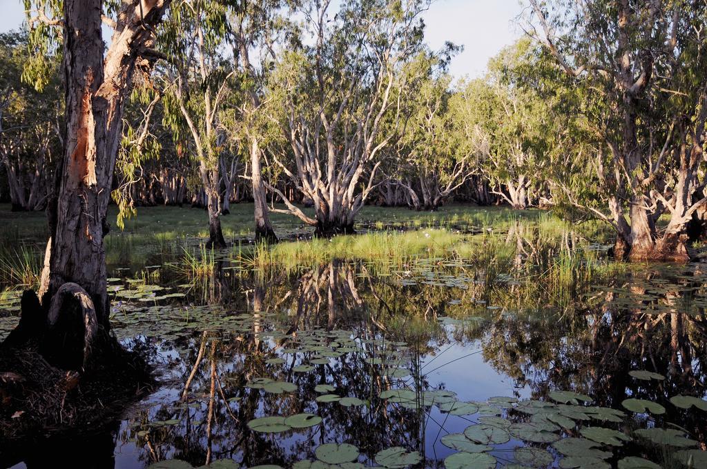 Bamurru Plains Point Stuart Bagian luar foto