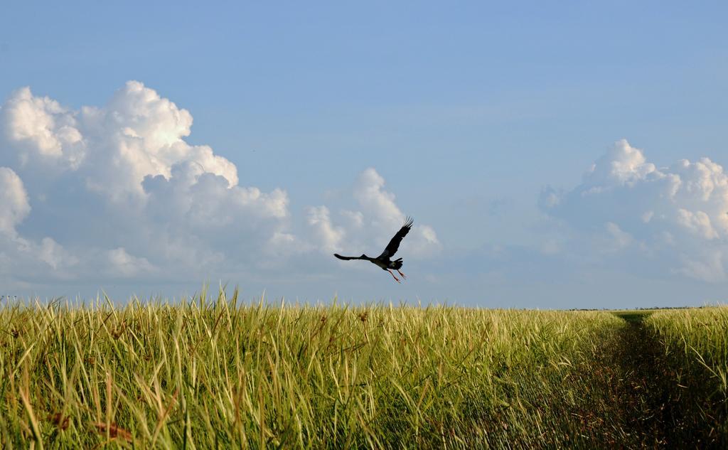 Bamurru Plains Point Stuart Bagian luar foto