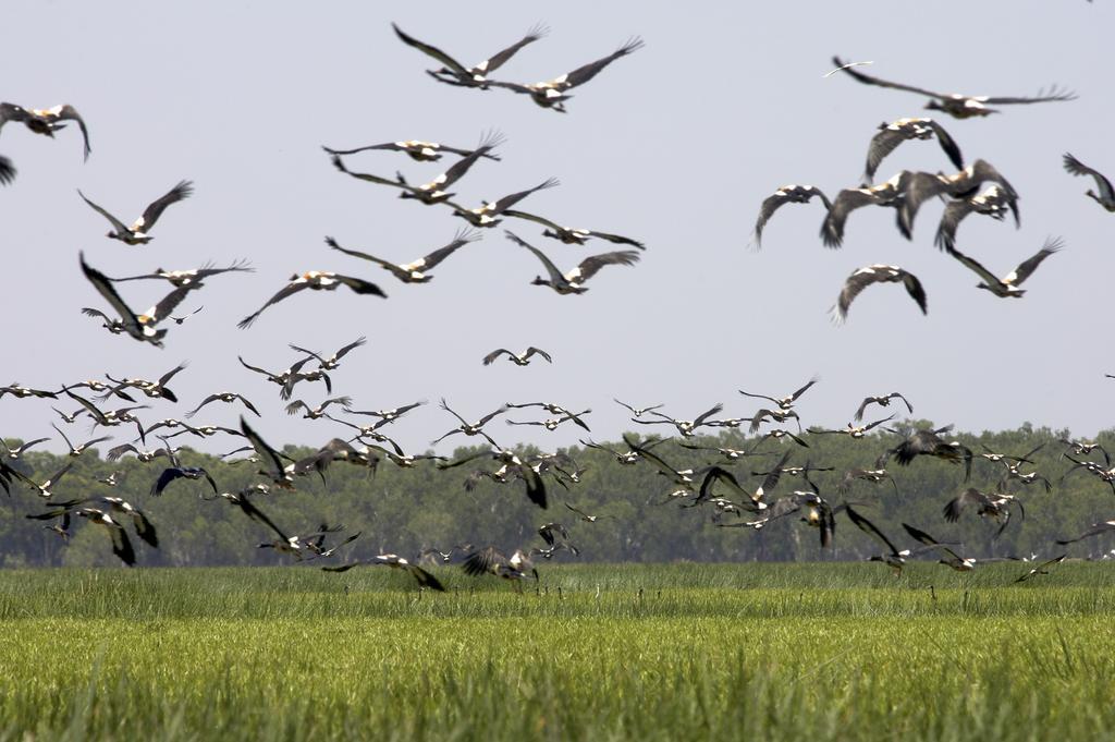 Bamurru Plains Point Stuart Bagian luar foto