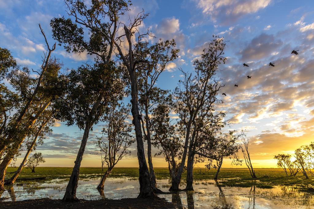 Bamurru Plains Point Stuart Bagian luar foto