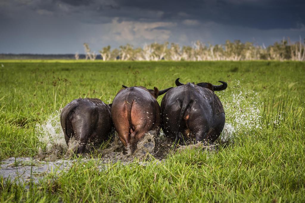 Bamurru Plains Point Stuart Bagian luar foto