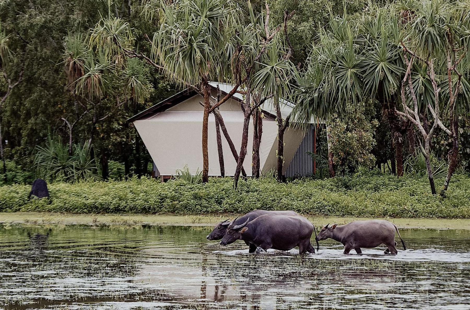 Bamurru Plains Point Stuart Bagian luar foto